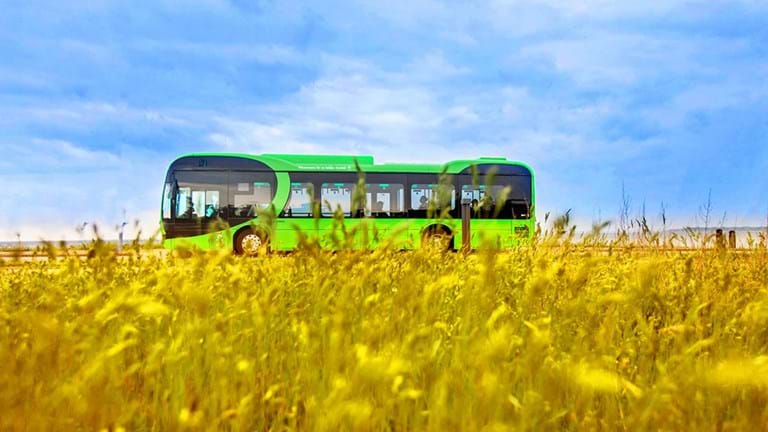 Ukraine bus